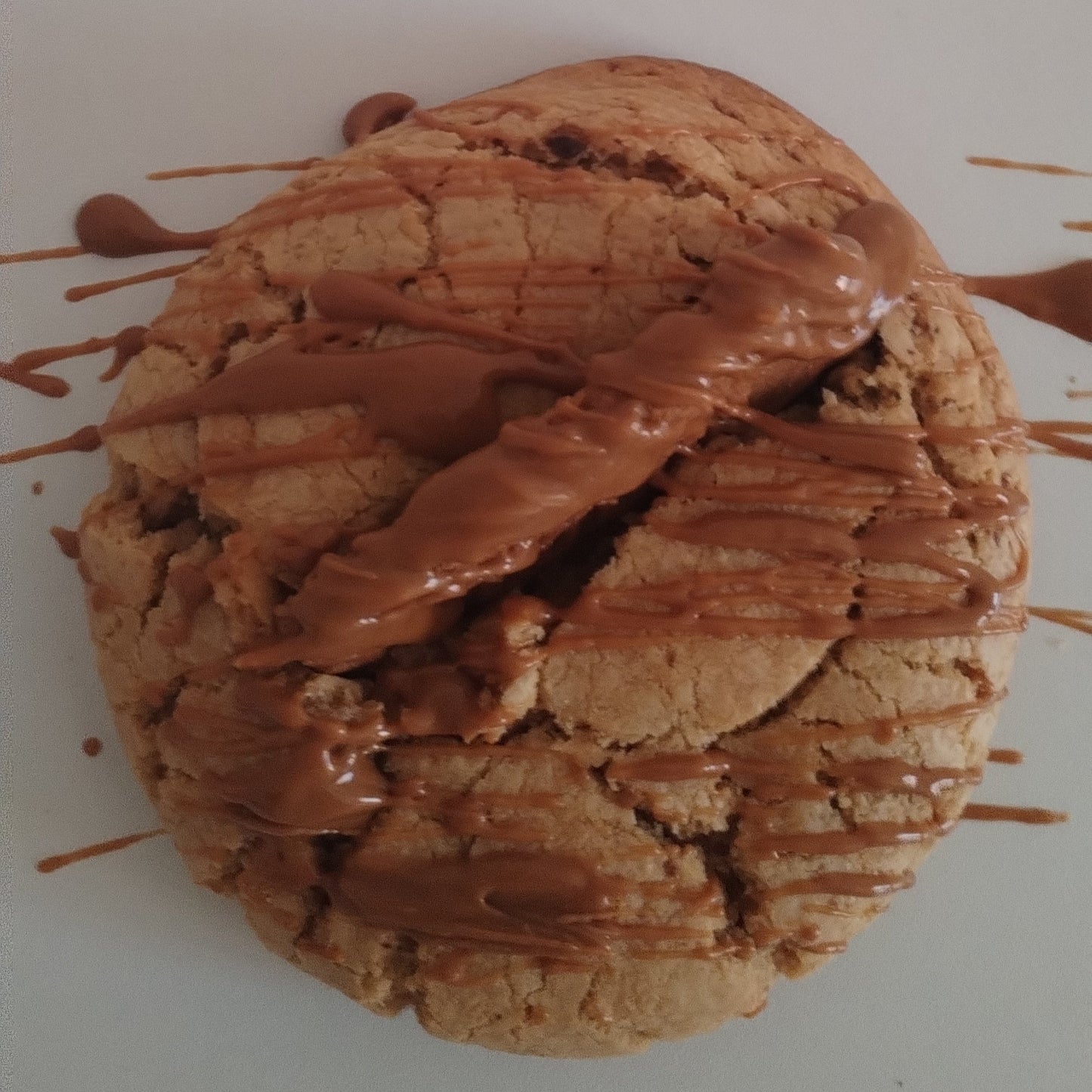 speculoos